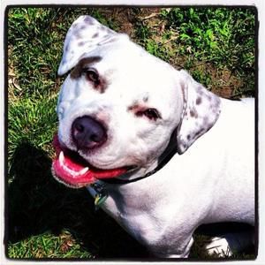 Meet your Posher, Jim